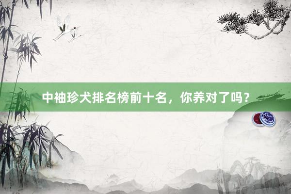 中袖珍犬排名榜前十名，你养对了吗？